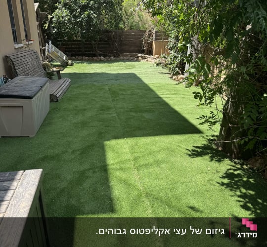 חצר עם דשא סינתטי ועצים מסביב